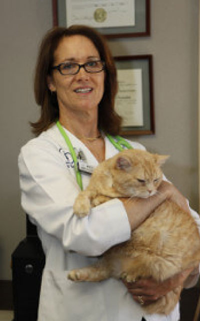 gail-w-szabo-dvm
